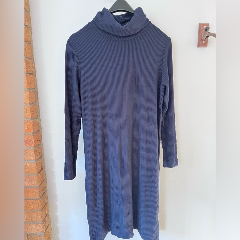Club Monaco Meredy Rib Knit Turtleneck Dress